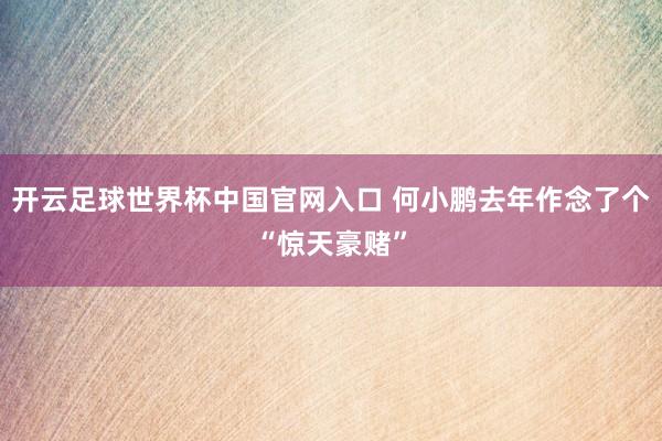 开云足球世界杯中国官网入口 何小鹏去年作念了个“惊天豪赌”