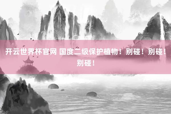 开云世界杯官网 国度二级保护植物！别碰！别碰！别碰！
