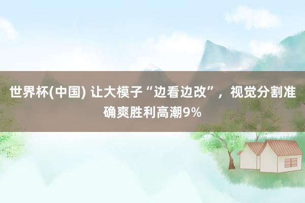 世界杯(中国) 让大模子“边看边改”，视觉分割准确爽胜利高潮9%