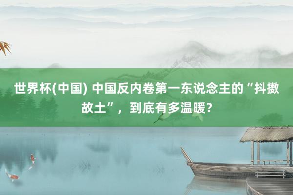 世界杯(中国) 中国反内卷第一东说念主的“抖擞故土”，到底有多温暖？