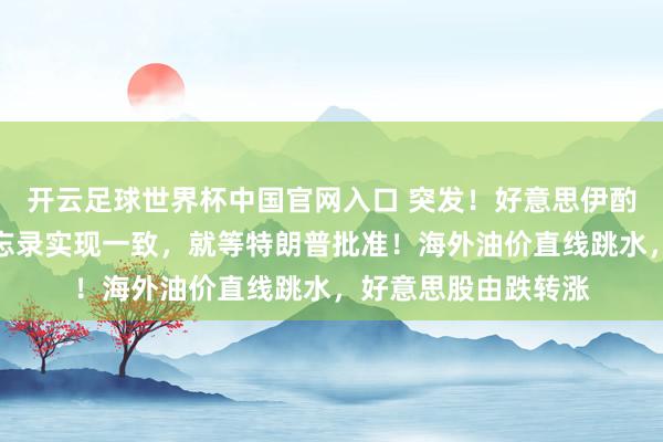 开云足球世界杯中国官网入口 突发！好意思伊酌量代表已就眷注备忘录实现一致，就等特朗普批准！海外油价直线跳水，好意思股由跌转涨