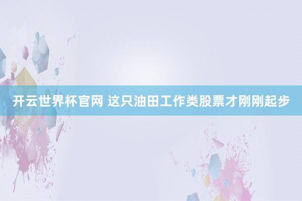 开云世界杯官网 这只油田工作类股票才刚刚起步