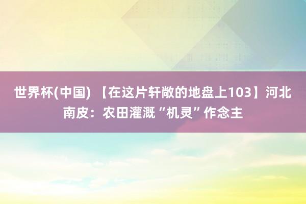 世界杯(中国) 【在这片轩敞的地盘上103】河北南皮：农田灌溉“机灵”作念主