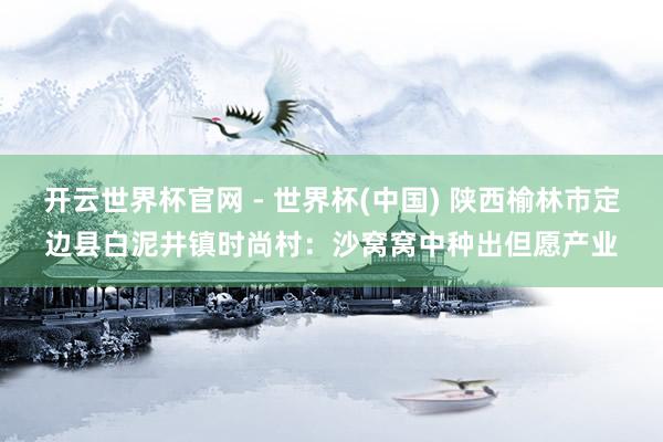开云世界杯官网 - 世界杯(中国) 陕西榆林市定边县白泥井镇时尚村：沙窝窝中种出但愿产业