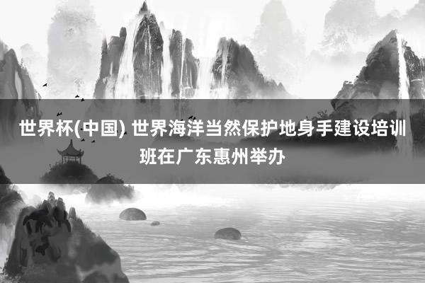 世界杯(中国) 世界海洋当然保护地身手建设培训班在广东惠州举办