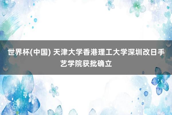 世界杯(中国) 天津大学香港理工大学深圳改日手艺学院获批确立