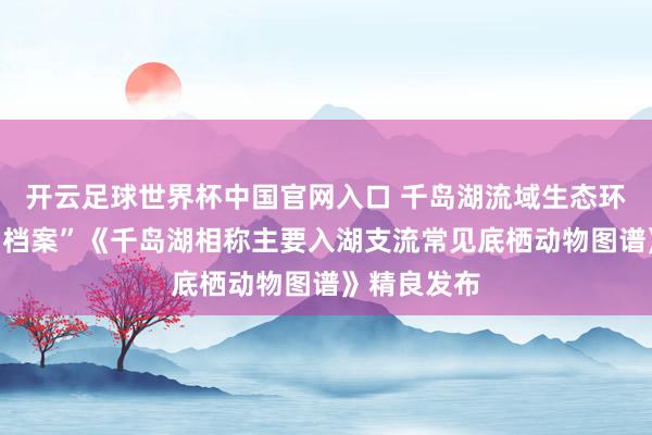 开云足球世界杯中国官网入口 千岛湖流域生态环境有了新“档案”《千岛湖相称主要入湖支流常见底栖动物图谱》精良发布