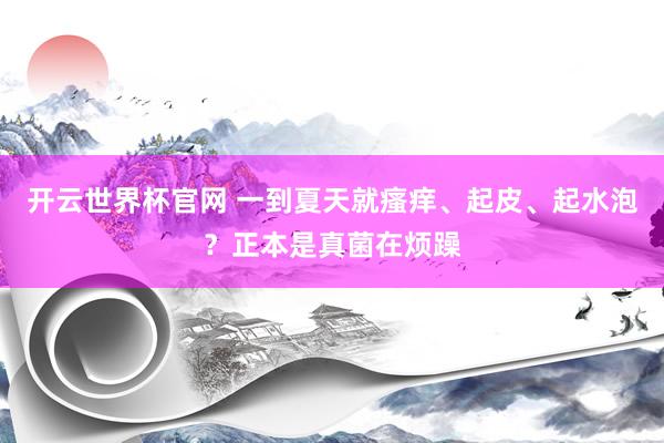 开云世界杯官网 一到夏天就瘙痒、起皮、起水泡？正本是真菌在烦躁