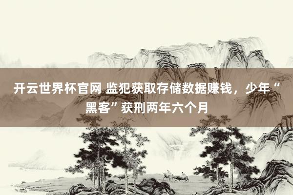 开云世界杯官网 监犯获取存储数据赚钱，少年“黑客”获刑两年六个月