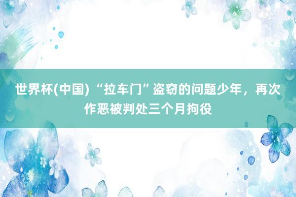 世界杯(中国) “拉车门”盗窃的问题少年，再次作恶被判处三个月拘役