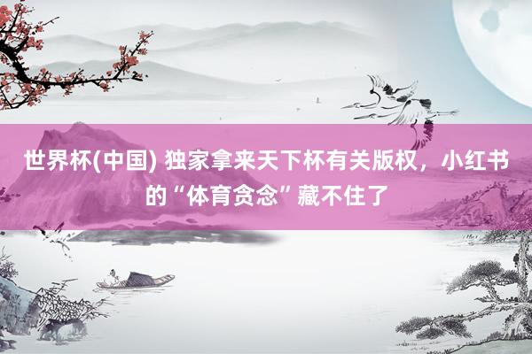 世界杯(中国) 独家拿来天下杯有关版权,小红书的“体育贪念”藏不住了