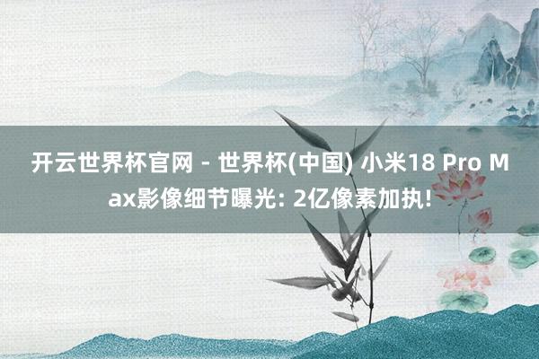开云世界杯官网 - 世界杯(中国) 小米18 Pro Max影像细节曝光: 2亿像素加执!