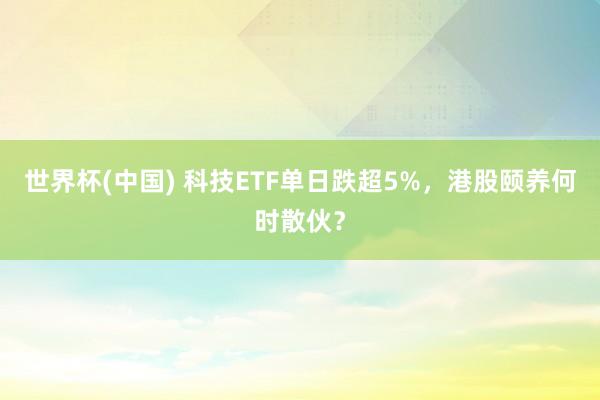 世界杯(中国) 科技ETF单日跌超5%，港股颐养何时散伙？