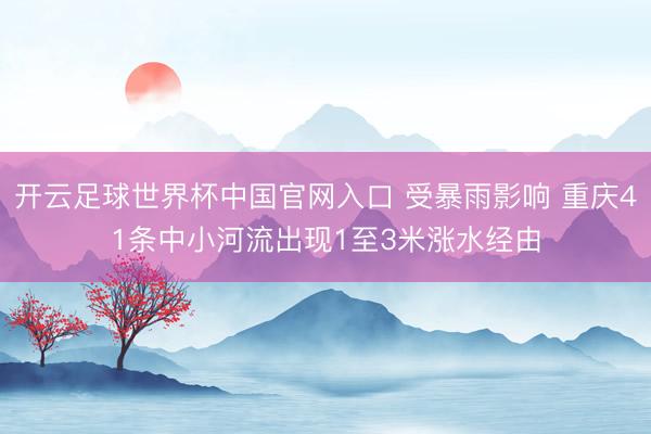 开云足球世界杯中国官网入口 受暴雨影响 重庆41条中小河流出现1至3米涨水经由